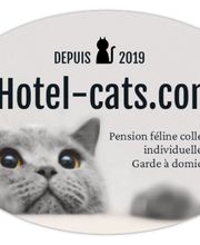 Hotel-cats.com image 11