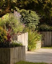 Ameline Arbora image 20