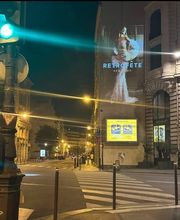 WILD projection image 3