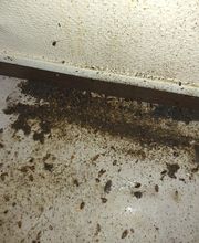 Stop Insecte image 8