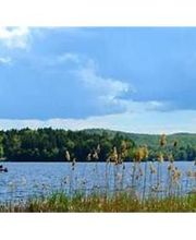 Twin Pines on Trout Lake image 20