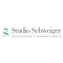 Studio Schweiger logo