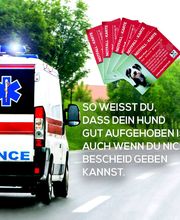 DOGS-HEART Bild 4