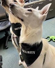 Crossfield Heating & Air Conditioning image 15