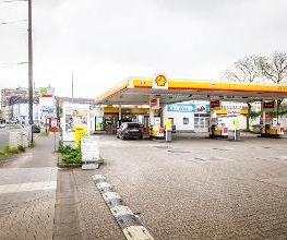 Shell Bild 6