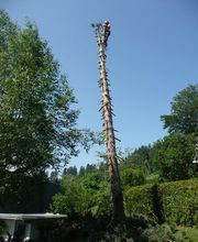 Entreprise forestière Sauser SA Bild 5