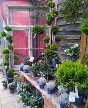 Gartenland Rabovsky e.K. Bild 3