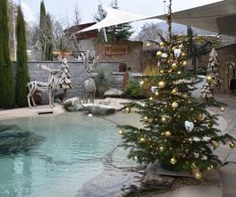 Villiger AG Garten + Pool Bild 1