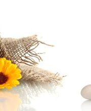 Pharmacie des Thermes image 4