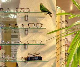 Optik Individuell Bild 1