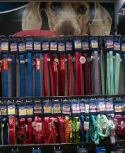 Habekost Heimtiermarkt Bild 18