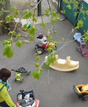 JARDIN DES MARMOTTES image 2