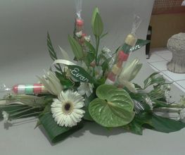 Euphorbia image 4