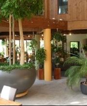 Gärtnerei Felber GmbH Bild 3