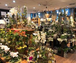 Blumen Interfleur Floristik & Wohnaccessoires Bild 14