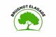 BRUGNOT ELAGAGE