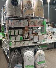 Orchestra MANDELIEU LA NAPOULE image 7