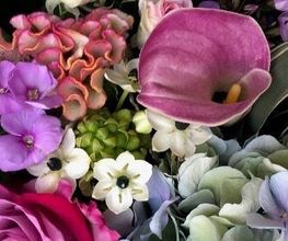 Michèle Fleurs image 1