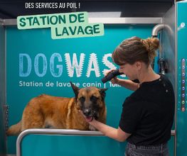 Tom&Co Denain image 7
