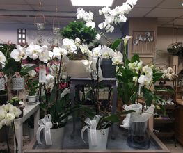 L'Atelier Fleuri image 6