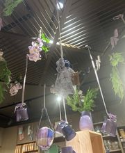 Søstrene Grene billede 8