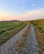 Le Gîte De La Ferme Du Tertre image 3