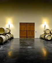 VIGNOBLES MARCEL PETIT image 3