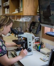 Skinner Animal Clinic image 14