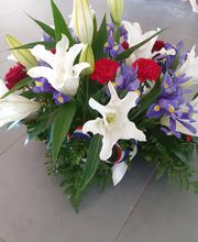 Audrey Fleurs image 12