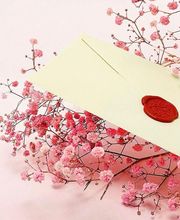 Le Studio des Parfums - Parfum sur mesure - Atelier de création - Parfum disparu image 13