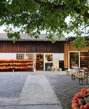 Biohof Braun GbR Bild 1