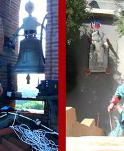 Stop Guêpes & Frelons image 10