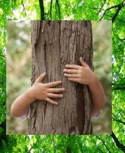 LA MAISON DES SYNERGIES image 11