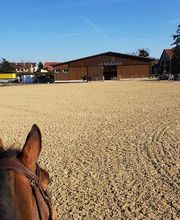 Manège de la Sallivaz & Poney club Bild 2