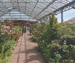 JARDILAND image 15