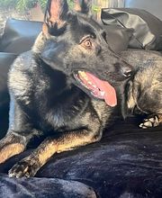 Instinkt Management Bild 2