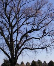 Vagne Service Verts image 8