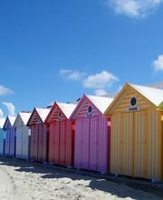 David Leveque image 7