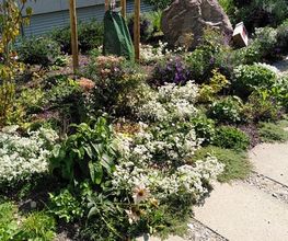 Fellmann Gartenbau AG Bild 6