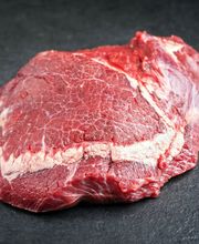 Büningshof (Hochmooraner) Bild 9