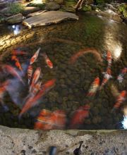 Vista Valley Tree Service Inc image 3