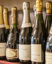 Gallery Professionale