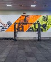 Gimnasio VivaGym Sant Feliu de Llobregat imagen 20