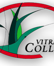 Vitraux Collard image 7