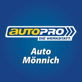 Auto Mönnich Inh. Uwe Mönnich