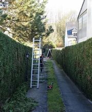 ULV creation de jardins Services image 16