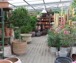 GartenBaumschule Schneider Bild 3