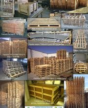 BFMP image 10