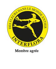 L' Orchidée image 9