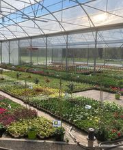 Dessapt Horticulture image 6